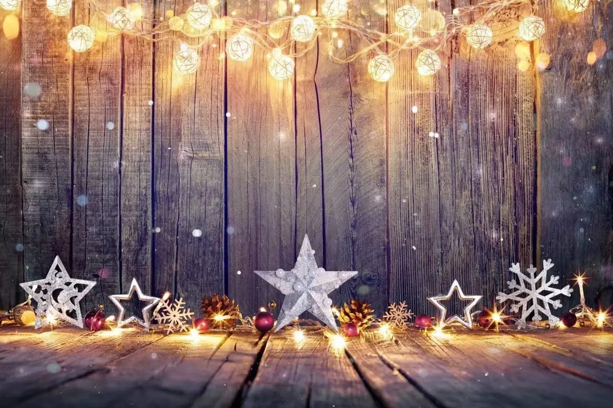 Fondo navideño vintage con mes - Vintage Photography Lighting reseña y precio