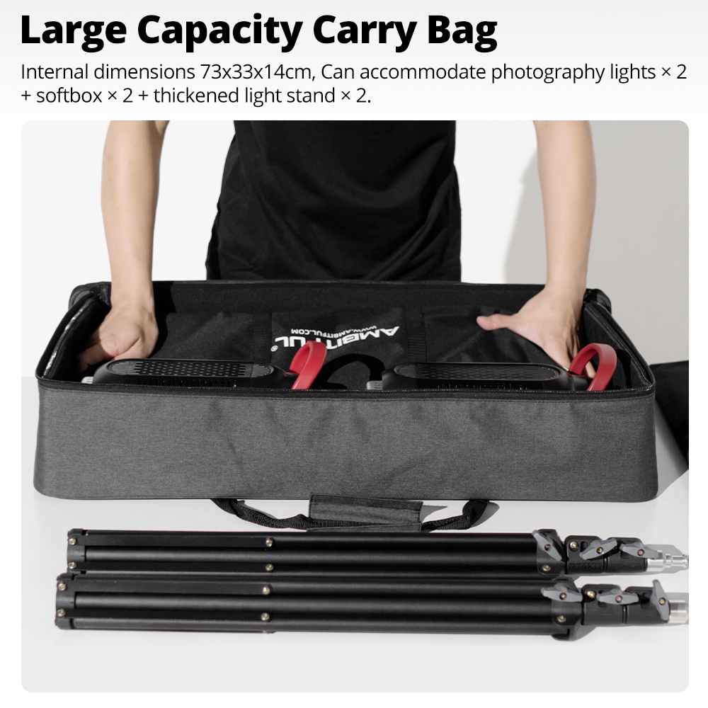 Nueva Bolsa de Transporte Port - Photography Lighting Kit Portable reseña y precio