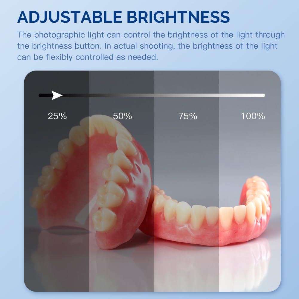 Luz suplementaria LED dental p - Photography Lighting Composition reseña y precio