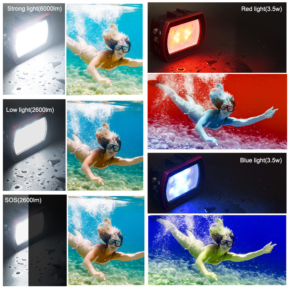 Seafrogs-Luz LED de aluminio p - Photography Lighting Brand reseña y precio